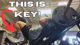 How To Make Your Legs Bigger