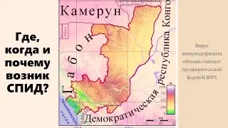 ВИЧ (Где, когда и почему -  Возник СПИД) (История возникновения ВИЧ)