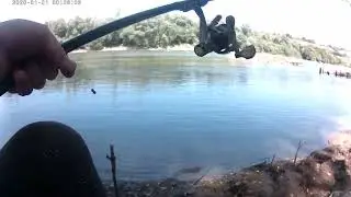 РЫБАЛКА НА РЕКЕ КУБАНЬ В АВГУСТЕ