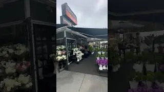 #shorts  #CoronaDelMar #FlowerShop #Florist #FlowerLovers  #OCFlorist Music: Harmony by @iksonmusic