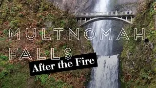 Multnomah Falls AFTER THE FIRE | Columbia River Gorge, Oregon