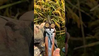 The Classic that still Dominates the Field! Russian Shotgun 
