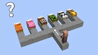 which bed will villager choose?