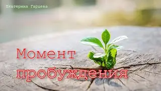Момент пробуждения