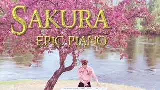 Sakura Japanese Folk Song Piano - Transport Yourself to Land of Cherry Blossoms with this EPIC song