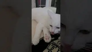 Читать собралась!