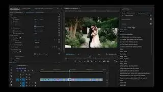 Illume LUTs | Adobe Premiere Pro - Grading Tutorial