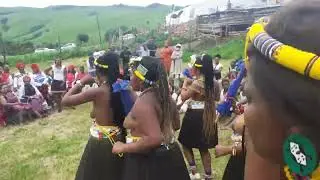 Umemulo weNtombi Nto.