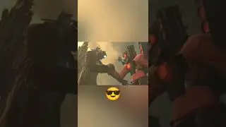 дружественный жест