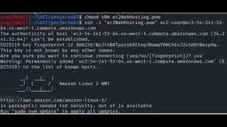 How to connect to AWS EC2 instance from Windows