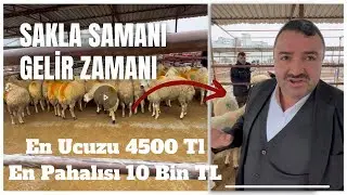 CEYHAN HAYVAN PAZARI / EN KARLI İŞ SAMAN BESLEMEK Mİ? #hayvancılık #tarım