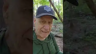 Blazed Tree = Doomed Tree. Part 2