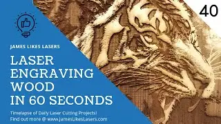 Day 40:  Laser Engraving Wooden Tiger Using Photo Laser Plus