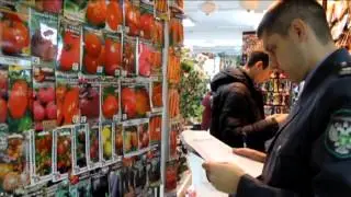 Просроченные семена были сняты с продажи и выведены из торгового оборота
