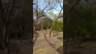 Herbal Garden