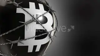 Bitcoin Balloon Ver.2