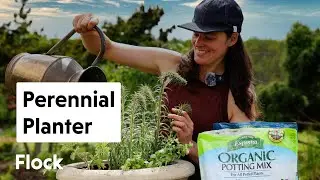 Refreshing COTTAGE PLANTERS with PERENNIALS at the Meadow House — Ep. 259