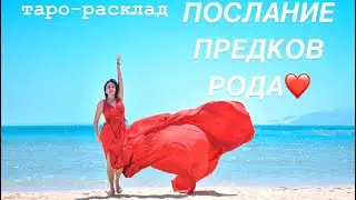 ❤️🌳ПОСЛАНИЕ ОТ ПРЕДКОВ РОДА🍀❤️