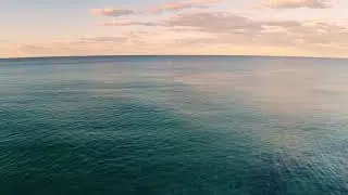 Nature - Ocean blue see Dolphins fly #Nature