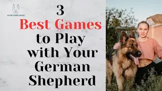 3 Best Games to Play with Your German Shepherd