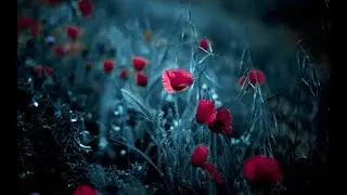 Чайковский "Ночь" - Владимир Байков, Марина Белашук