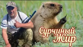 Приготовление Сурчиного Жира.