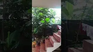 Unexpected Havy Rain 🌧