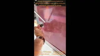 Шкаф предварительной расстойки Beloven (с датчиком наличия тестовой заготовки)