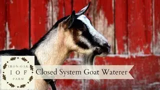 Closed System Goat Waterer