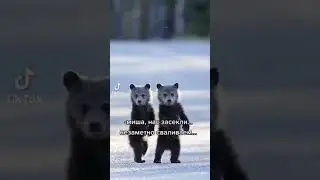 Нас засекли сваливаем