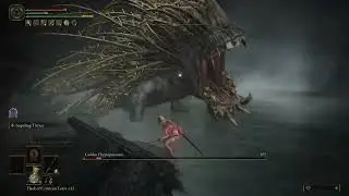 Elden Ring - Golden Hippopotamus on lv1 - No Blessing