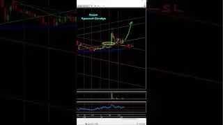 Акции Красный Октябрь #2024 #trading #рек