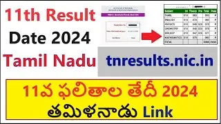 tnresults.nic.in 11th result 2024, 11th result date 2024 Tamil Nadu link, how to check 11th mark