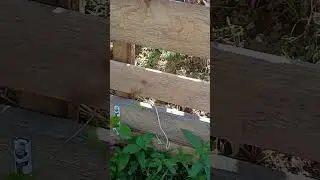 Компостная куча из досок на даче своими руками