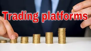 The Top 5 Trading Platform you must check!