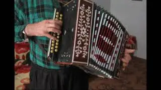 Клічаўскі гарманіст Дзмітрый Русецкі  Полька