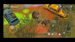 PVP 🔥