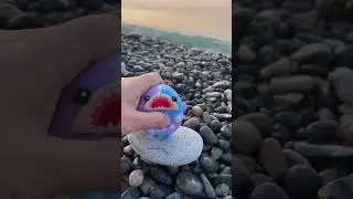 #shortvideo