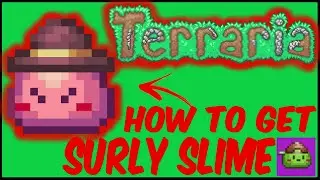 How To Get Surly Slime In Terraria | Terraria 1.4.4.9