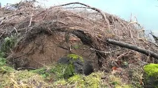 The Bigfoot Diaries: A Bigfoot Den Found on the Columbia River? part 1 of 3