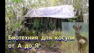 Biotechnology for Roe Deer from A to Z for Beginner Hunters/How to Obtain a Permit to Hunt Ungulates