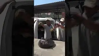 Adana'da korkunç gıda skandalı: Ticari bir araçta 1,5 ton at ve eşek eti yakalandı!