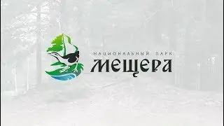 "Игры будущего" в Мещере l Условия, быт,тренировки l ФГБУ Национальный парк "Мещера"