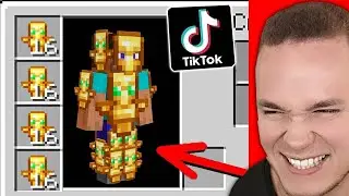 Ich TESTE FAKE TIKTOK LIFEHACKS in Minecraft 😵