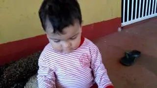 Sobrinho querido