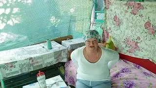 посадила огурчики,а котята наши прелесть