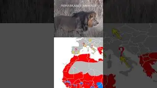 Where Lions Once Roamed
