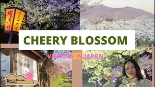 SAKURA VIEWING 2023/ Day and Night/ Simple Life in Japan