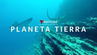 Vanessa Hauc & Planeta Tierra in Noticias Telemundo