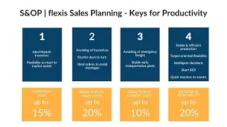 flexis Cloud S&OP Solution. Sales Planning. Keys for Productivity
